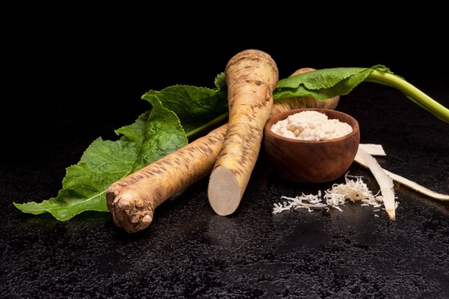 Хрен растение фото