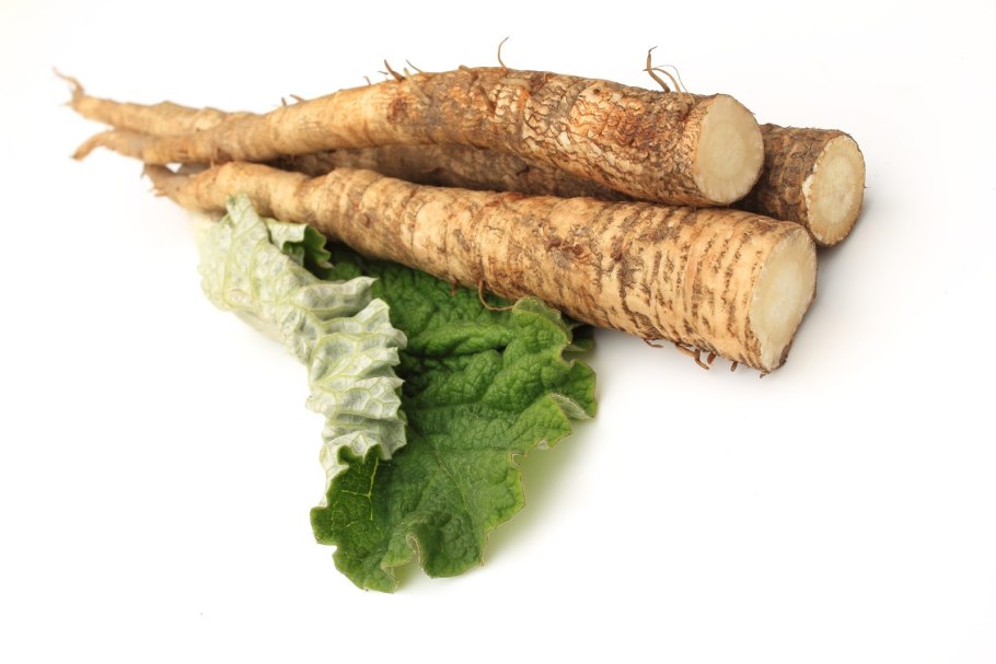 Burdock (корень лопуха)