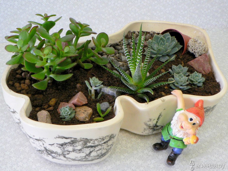 Флорариум, растительный террариум