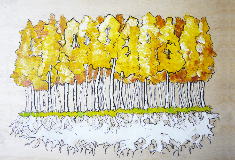 Тополь осинообразный