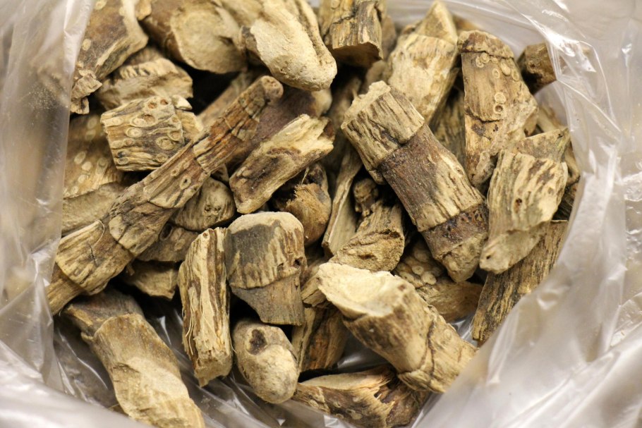 АИР болотный корень