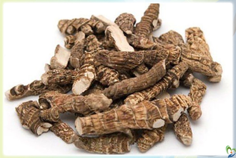 АИР болотный сырье