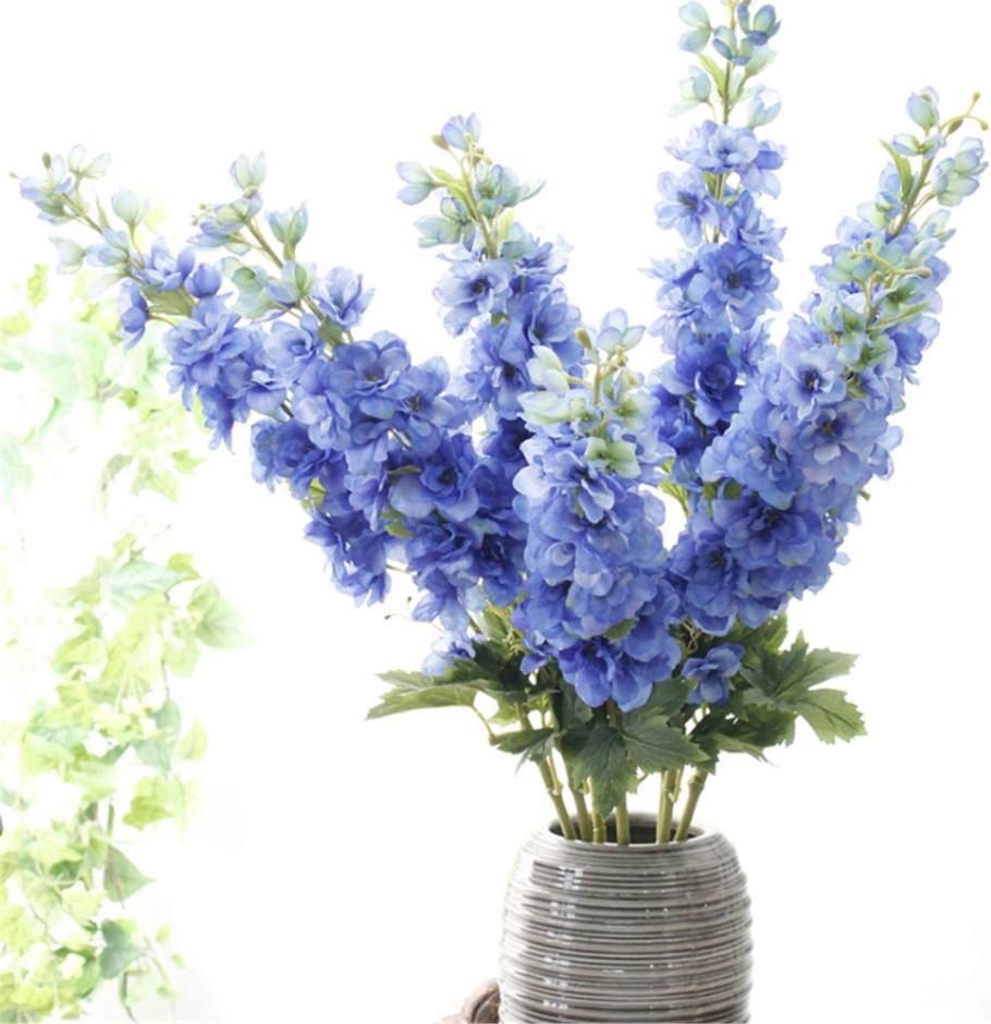 Дельфиниум Sunny Skies