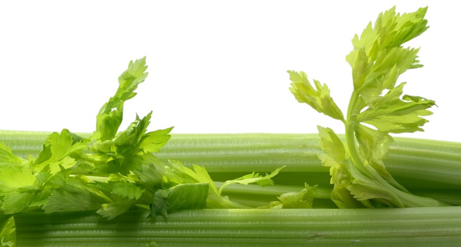 Олеорезин сельдерея