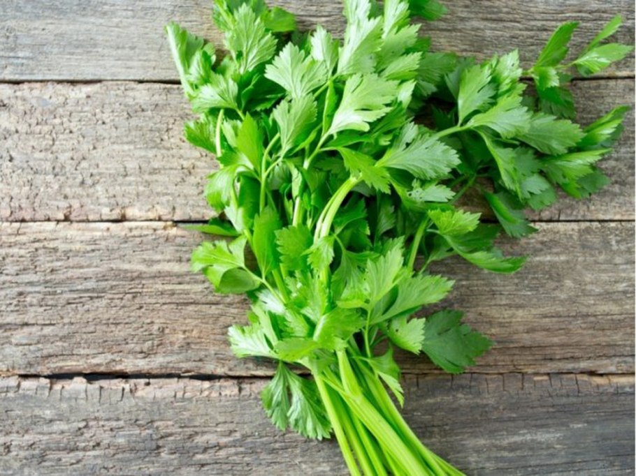 Листовой сельдерей пикант
