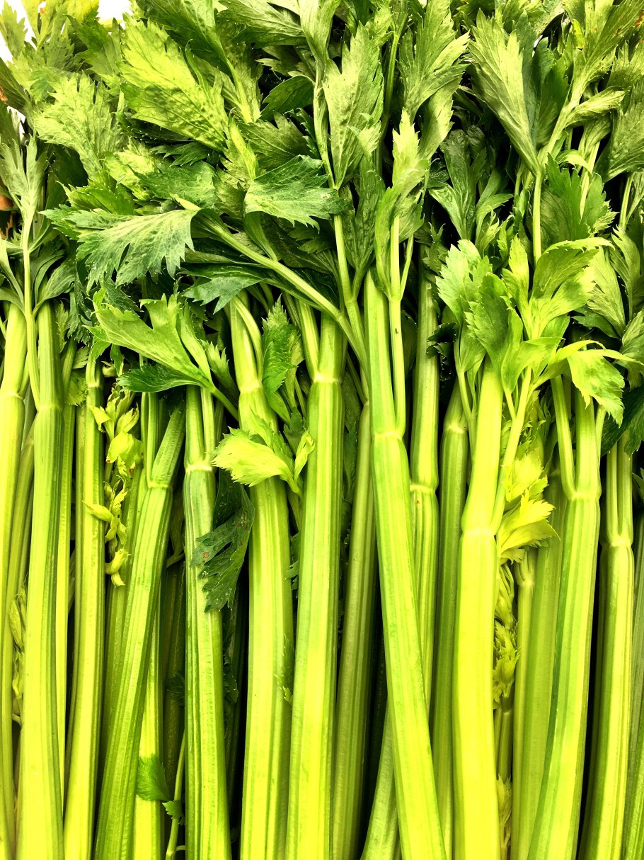 Сельдерей celery
