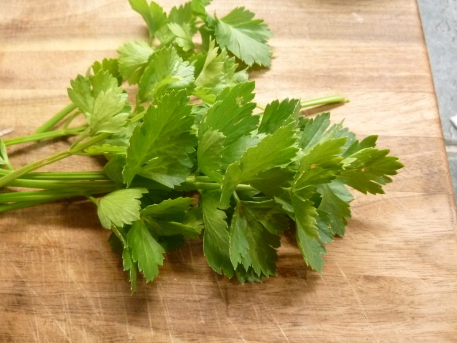 Листовой сельдерей пикант