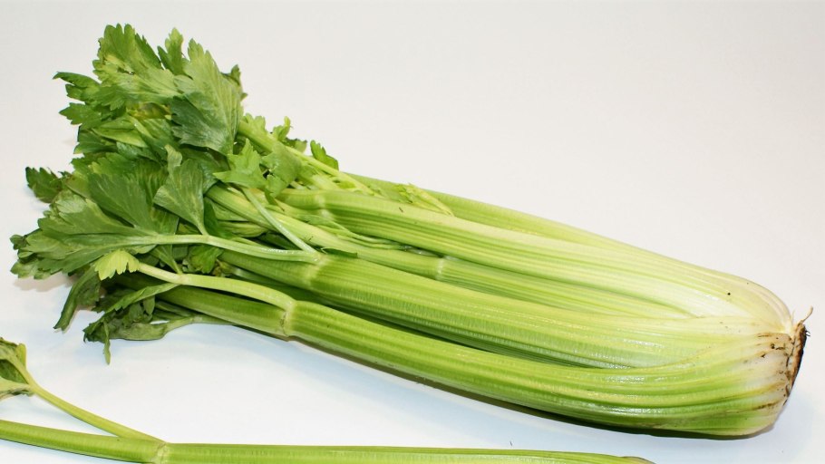 Сельдерей черешковый Аврора