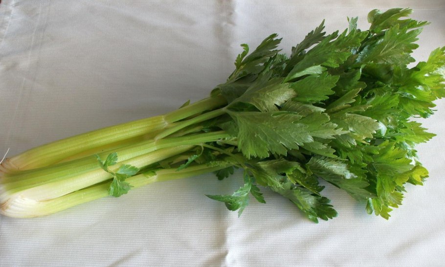 Сельдерей черешковый листья
