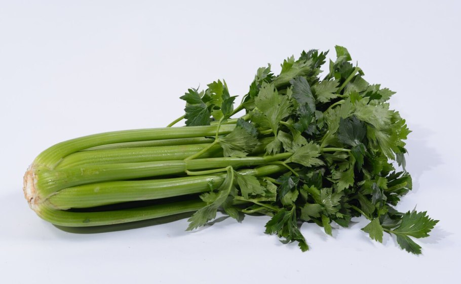 Сельдерей Apium graveolens