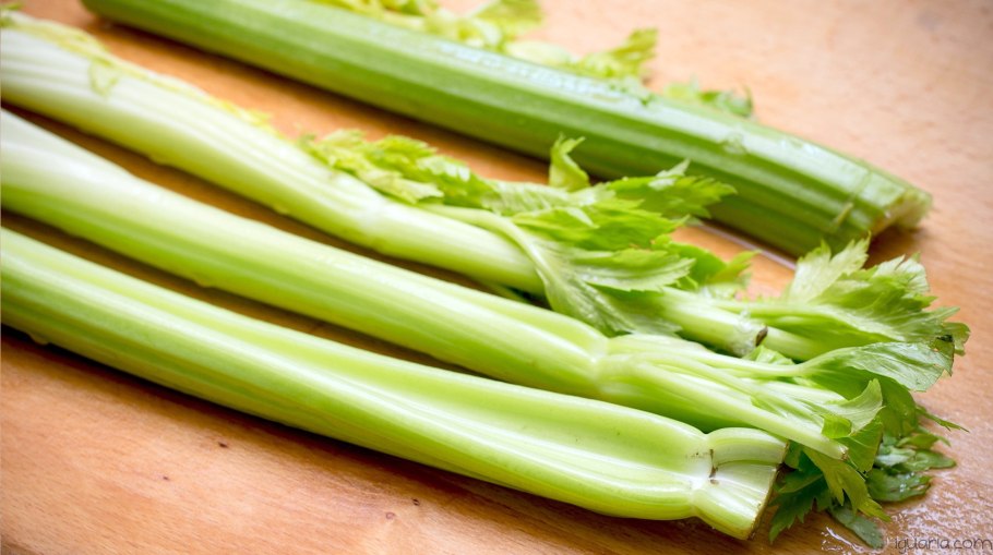 Карафс сельдерей