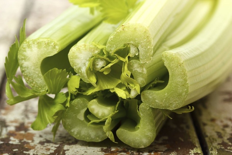 Срез стебля сельдерея