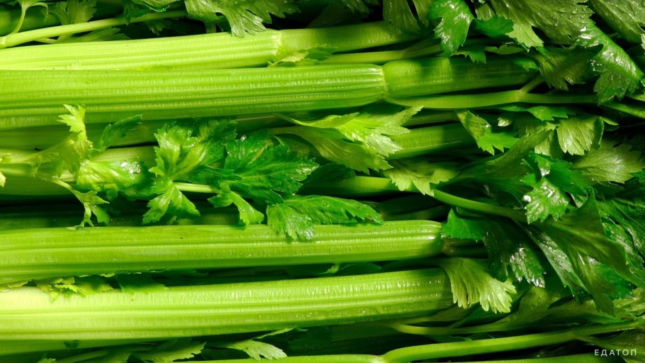 Стебель черешкового сельдерея