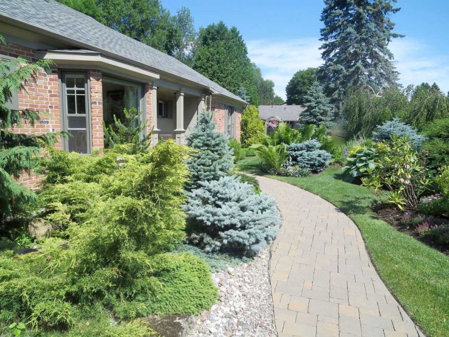 Хвойники в Лесном ландшафте