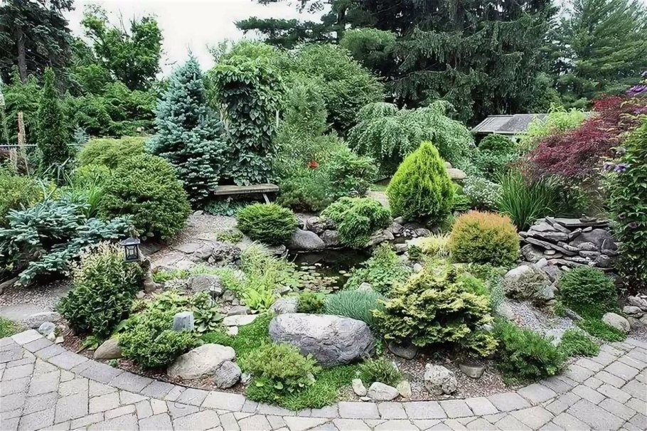 Альпийская горка Хоста можжевельник