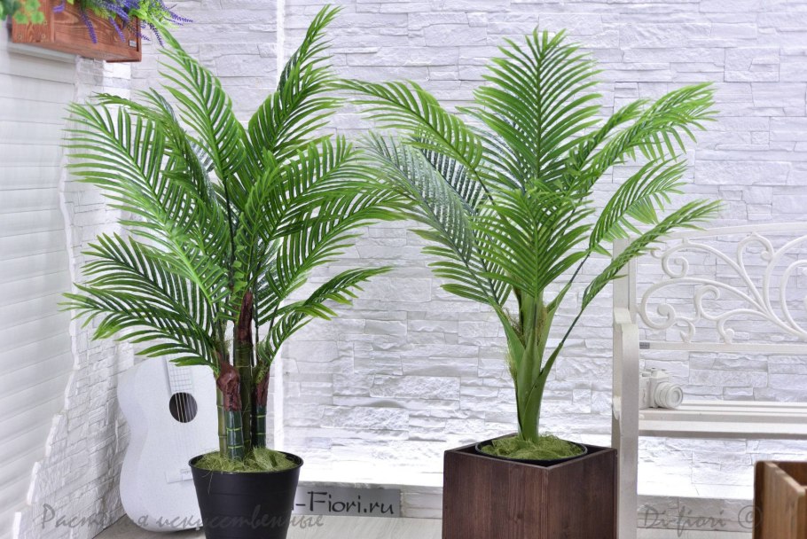Пальма Арека цветение