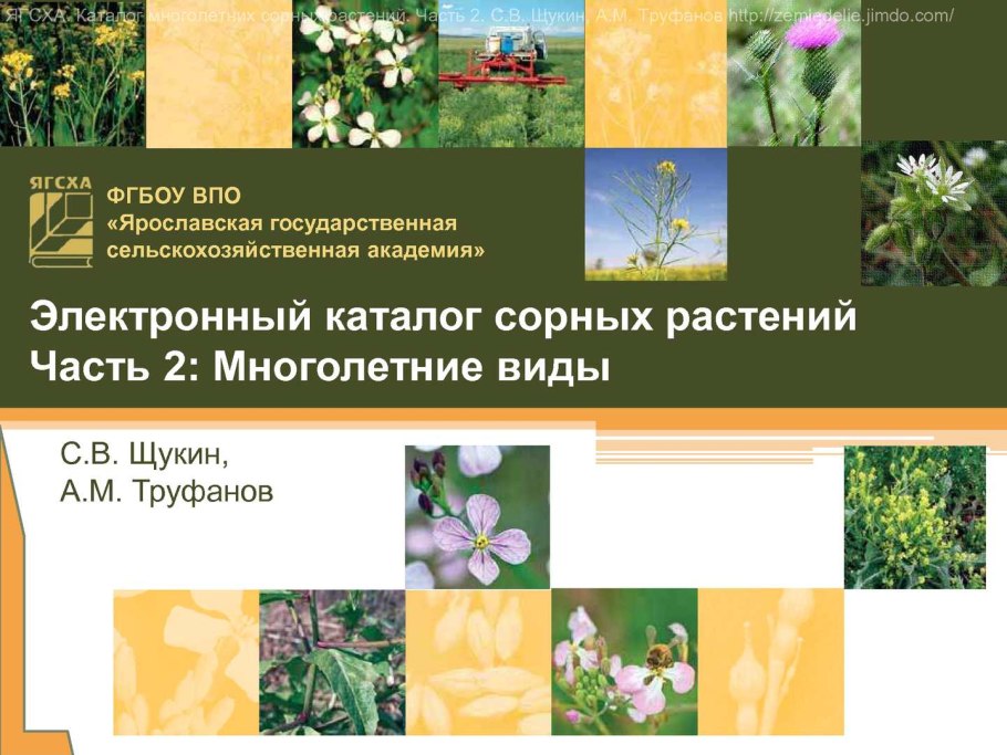 Сорняк плавун
