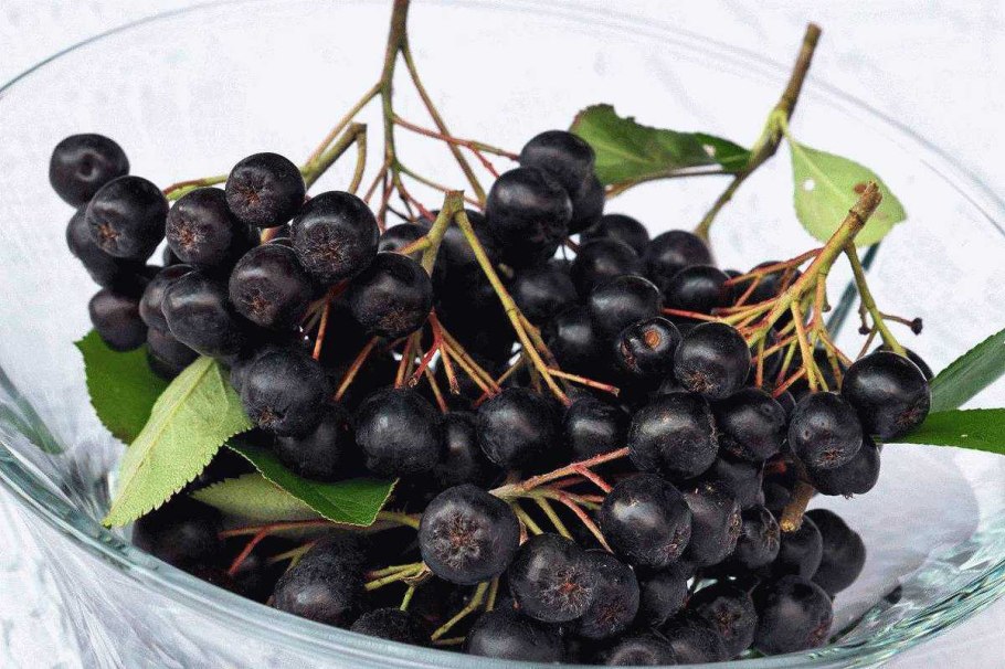 Ягоды черноплодной рябины
