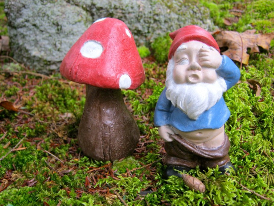 Грибы из цемента