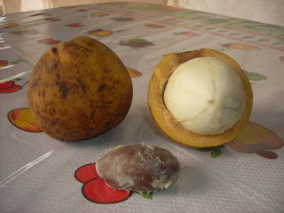 Саподилла сок