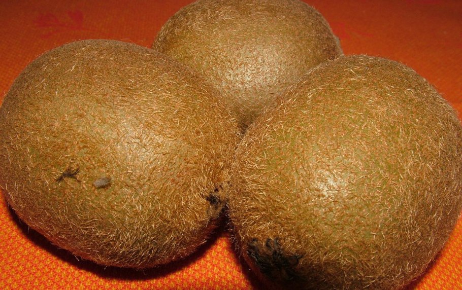 Лонган и лонгконг