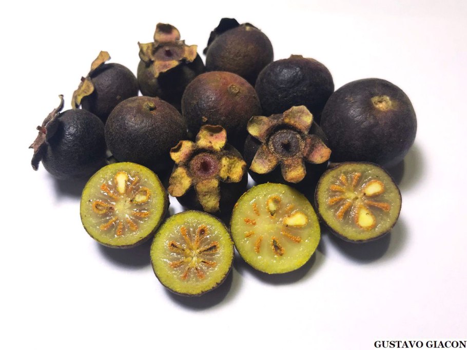 Лукума фрукт фото