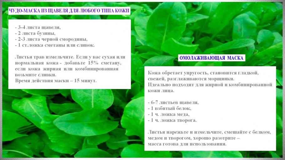 Маска из щавеля для лица
