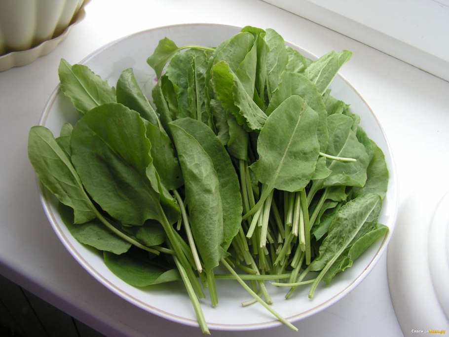 Щавель (100гр)