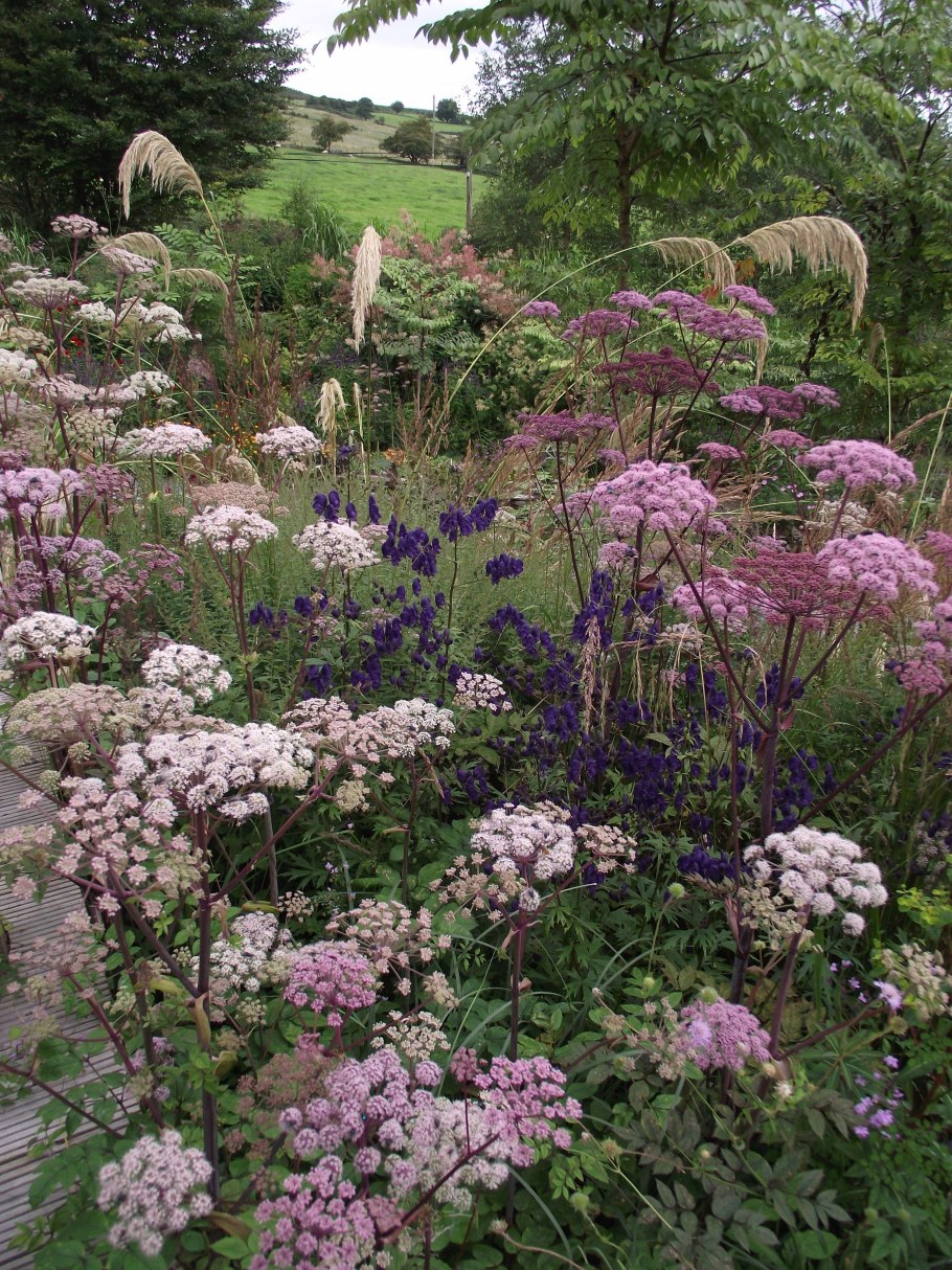 Амми в саду