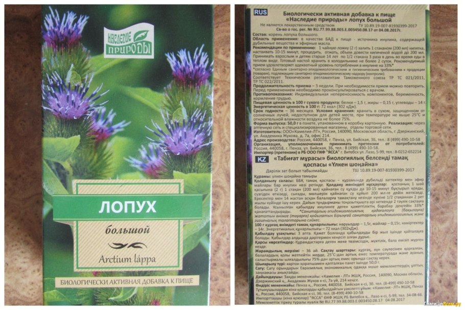 Репейник растение Текс