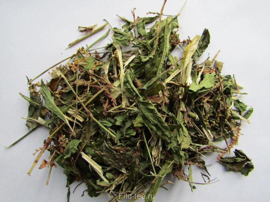 Горец перечный приправа