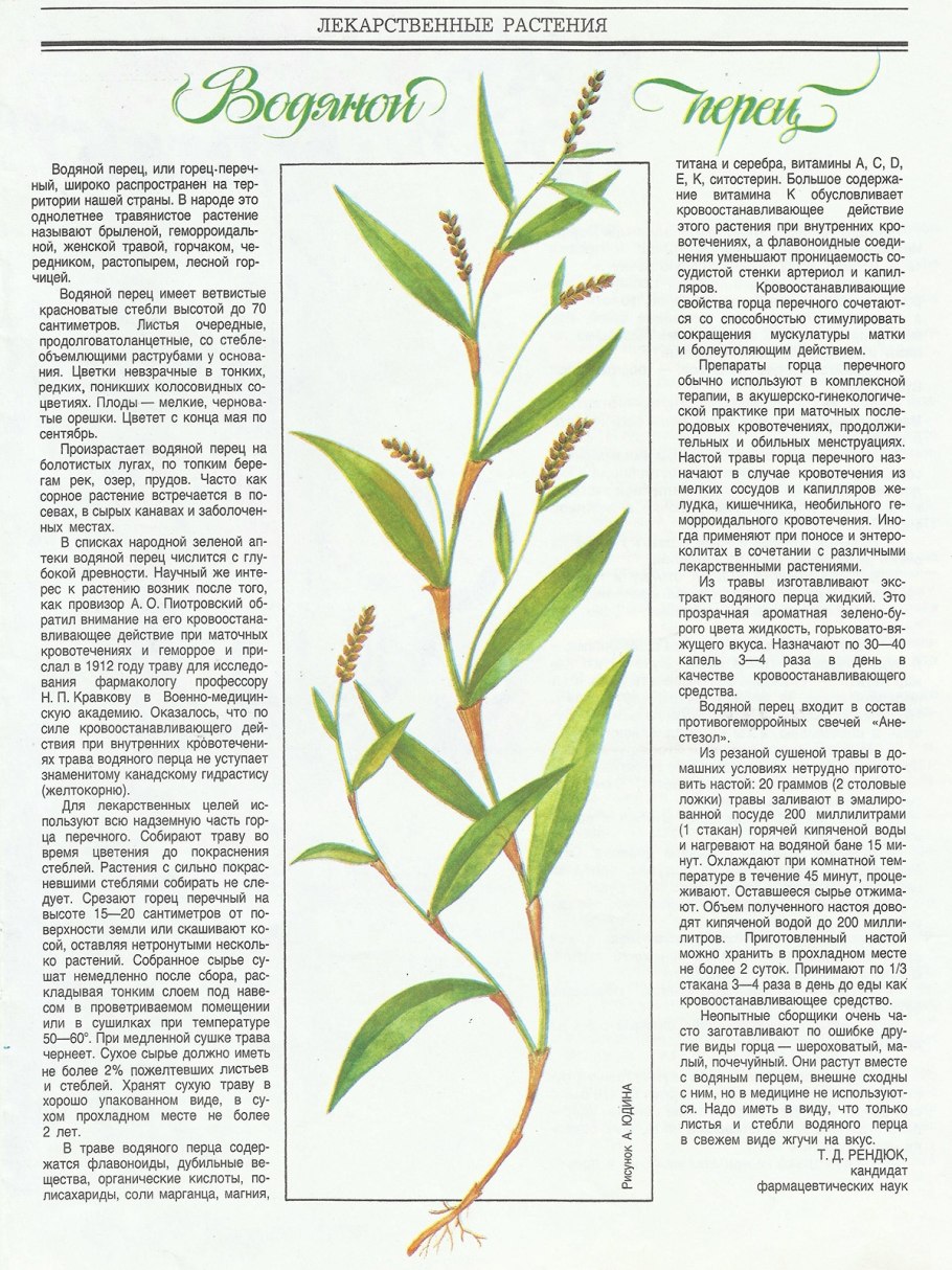 Русские корни трава Горец почечуйный 50 г