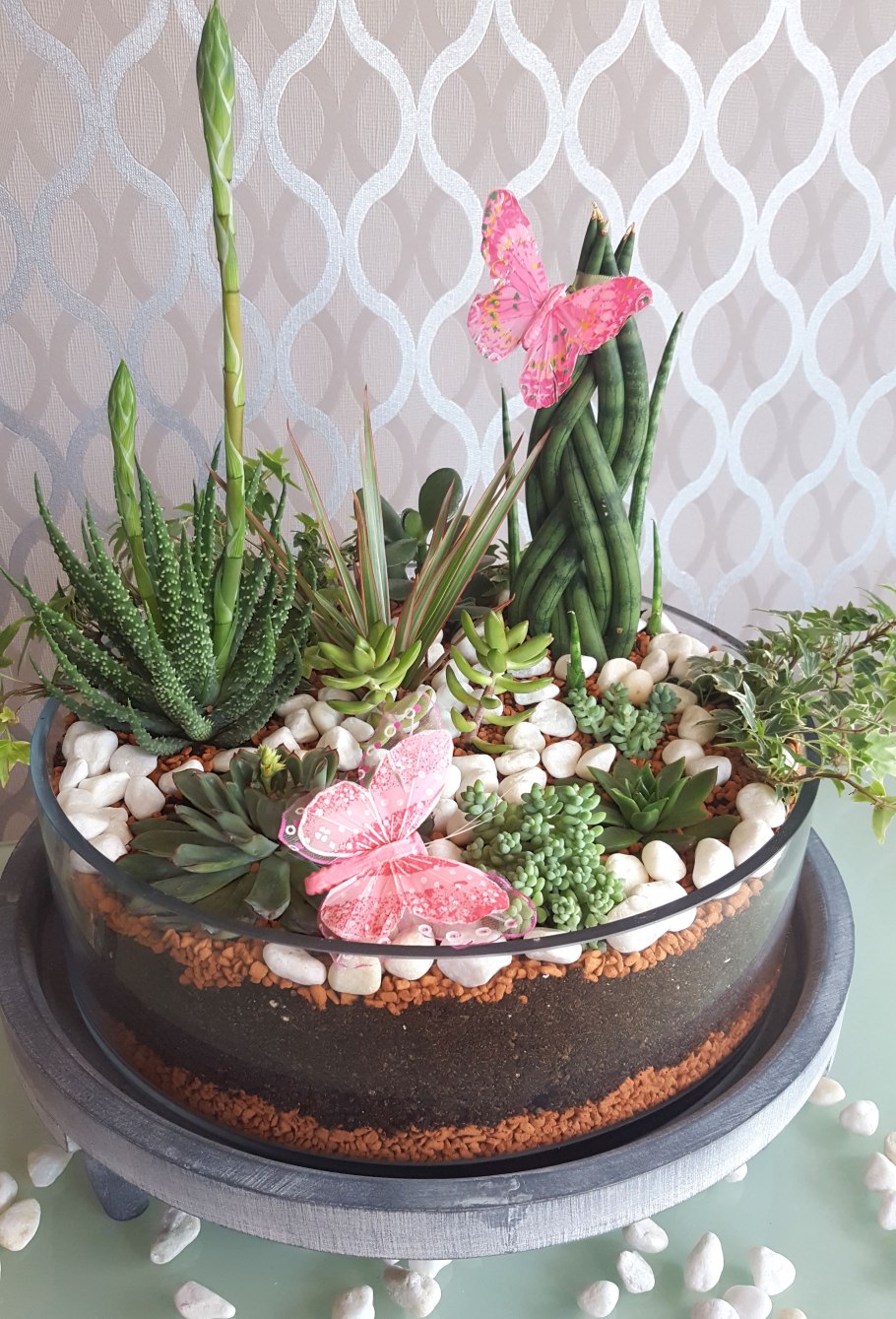 Горшки для кактусов и суккулентов