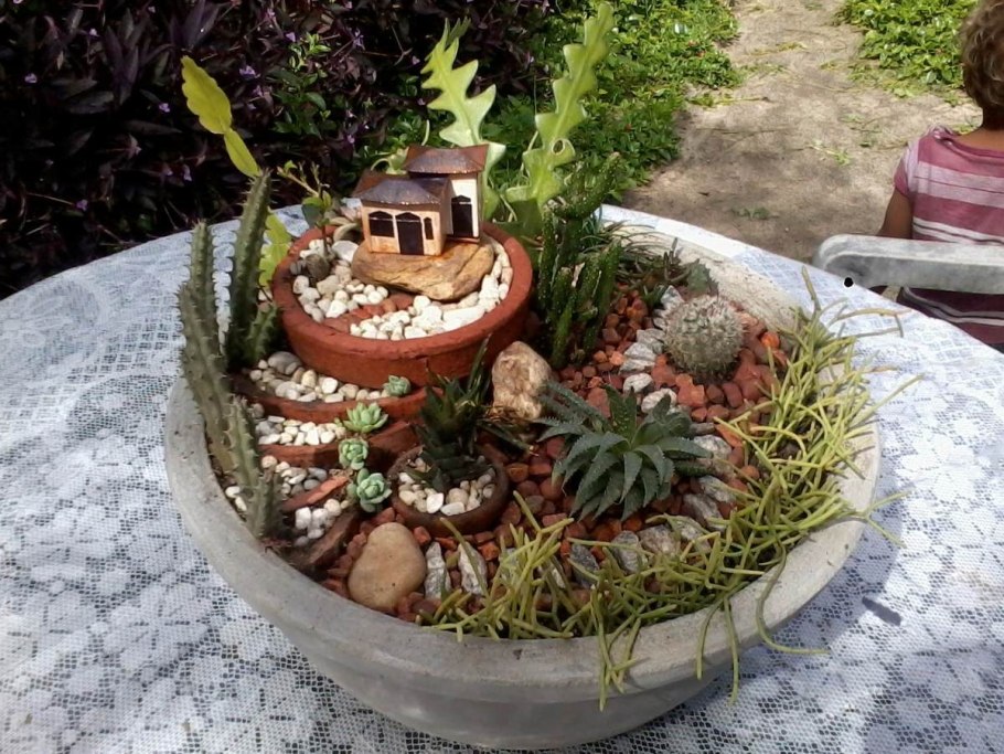 Экибаны из кактусов в горшке