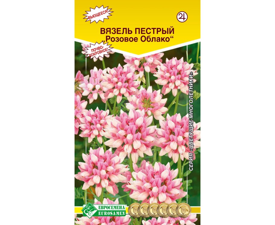 Вязель гербарий