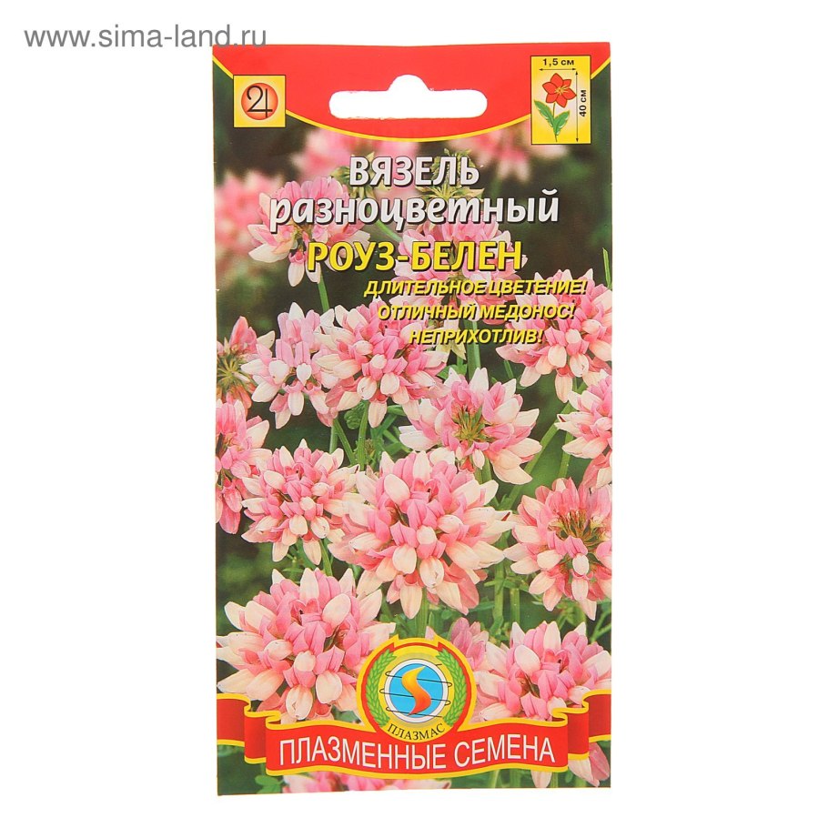 Вязель Роуз Белен