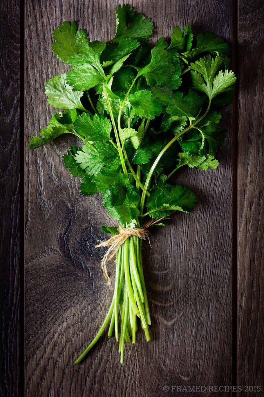 Кориандр посевной, кишнец, кинза.