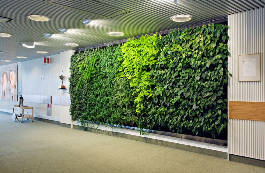 Фитостена вертикальное Озеленение