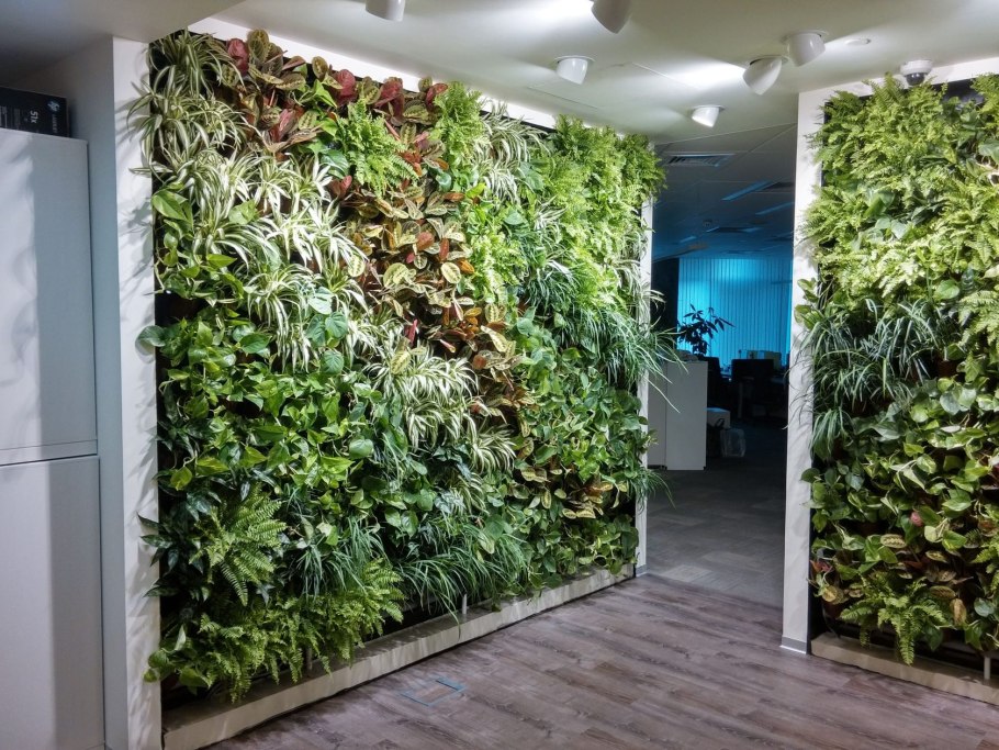 Классическая фитостена.