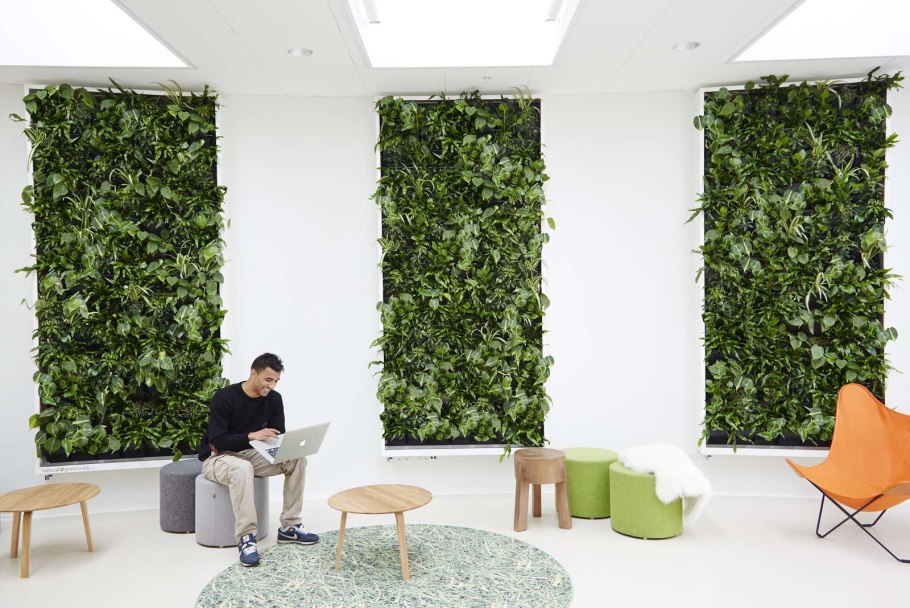 Фитостена с автополивом