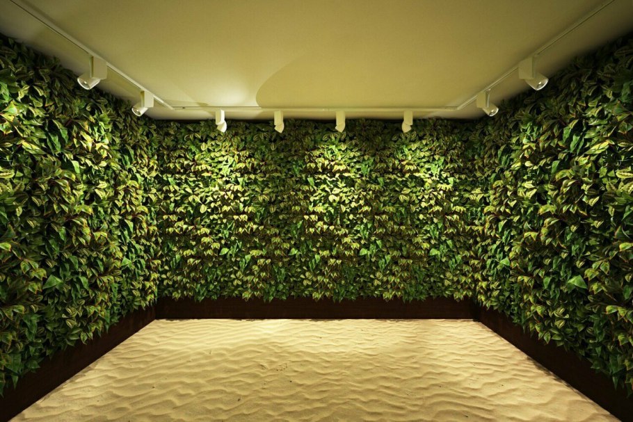 Фитостены с плющами