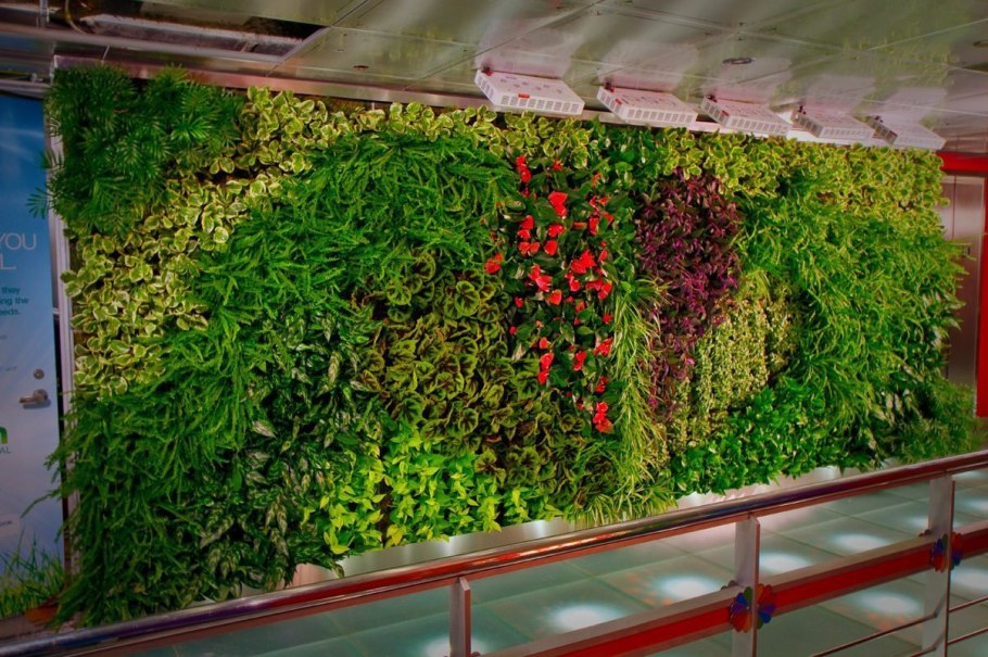 Вертикальное Озеленение Фитокартина