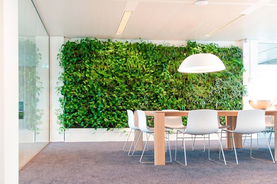 Green Sky фитостены