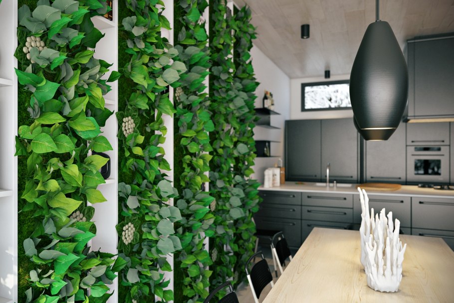 Плющ обыкновенный фитостена