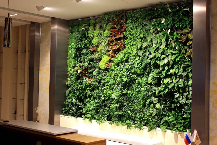 Завадская вертикальное Озеленение