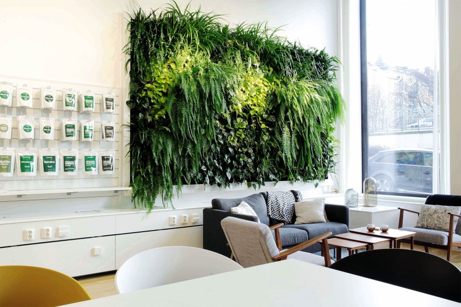 Вертикальное Озеленение Фитокартина