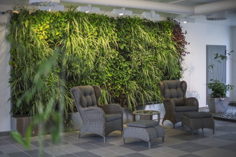 Фитостена ландшафт фитомодули