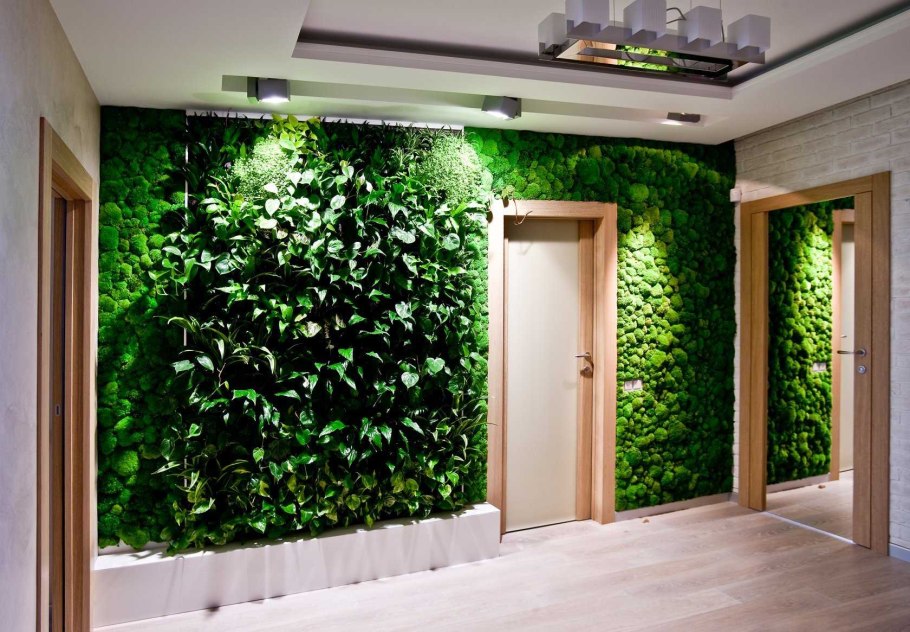 Green Sky фитостены