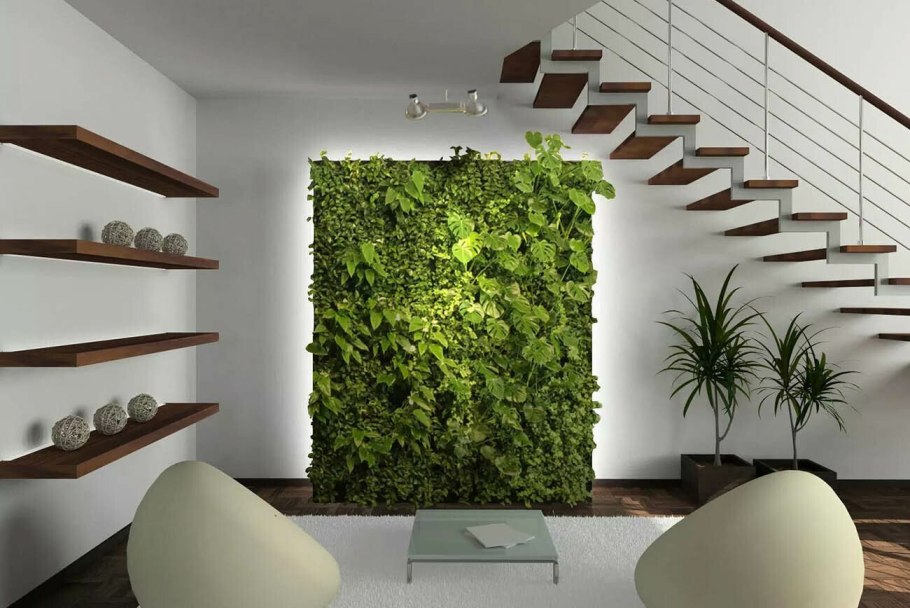 Фитостена из стабилизированного мха