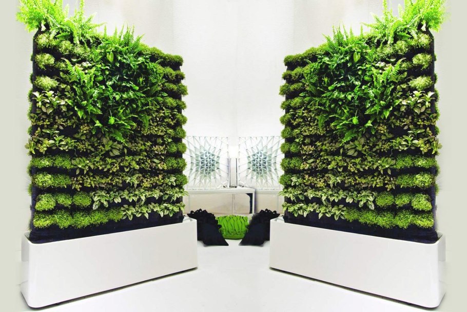 Лиана Грин вертикальное Озеленение